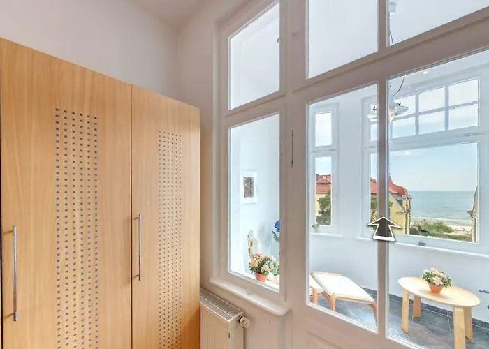 Carola - 100 M Zum Daire *