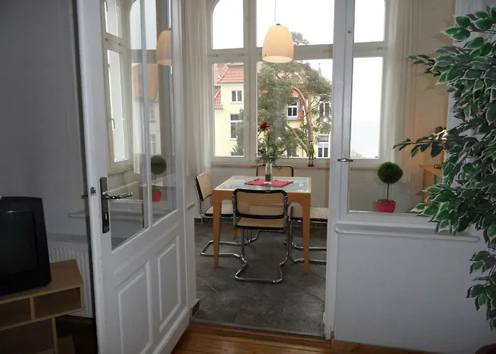 Carola - 100 M Zum Daire *