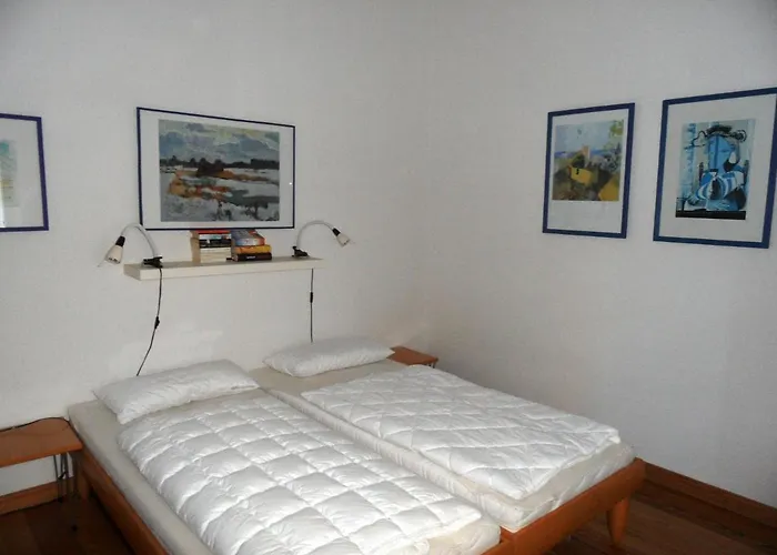 Carola - 100 M Zum Daire